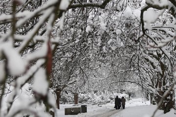 Hamburg: Schneechaos im Norden: Wetterdienst warnt - Achtung, Lebensgefahr!