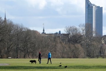 Leipzig: Wege bis Juni immer wieder gesperrt: Stadt fällt 139 Bäume in beliebtem Leipziger Park