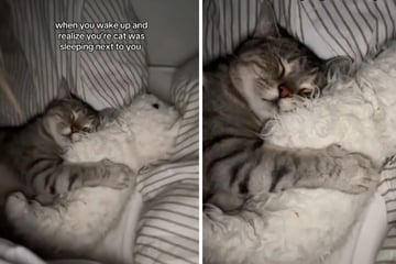 Frau wacht auf und findet ungeahnten Gast in ihrem Bett