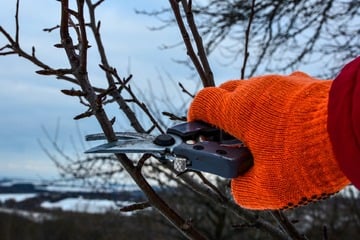 Mit diesen Handschuhen ist Gartenarbeit auch bei Kälte möglich