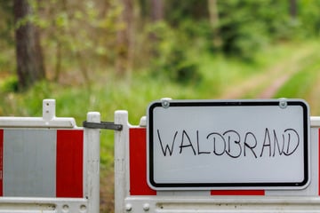 Vielerorts Stufe 4: Waldbrandgefahr in Bayern steigt