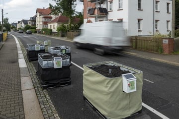 Chemnitz: Pflanzenkübel gegen Raser: Verkehrsversuch in Chemnitz wird beendet