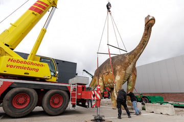 Zum ersten Mal nach 26 Jahren: Tonnenschwere Dinosaurier-Lady zieht um