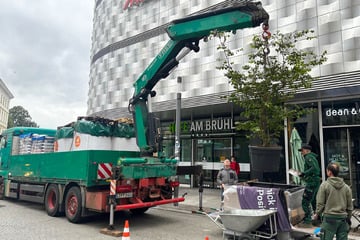 Leipzig: Höfe am Brühl Verschönerungsaktion: Das hat es mit den Baumaßnahmen auf sich