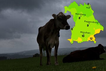 Wetter in Bayern: Ein Wochenende zwischen Regen und Ausflugswetter