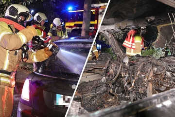 Dresden: Brandstiftung in Gorbitz? Mini geht am Amalie-Dietrich-Platz in Flammen auf!