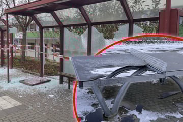 Vandalismus in Freital: Stadt zahlt für Hinweise zu Tätern