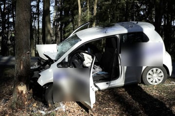 Sekundenschlaf? Auto kracht gegen Baum, Fahrer schwerst verletzt