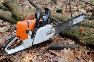 Tödlicher Unfall: Zehn-Meter-Baum erschlägt Mann im Wald