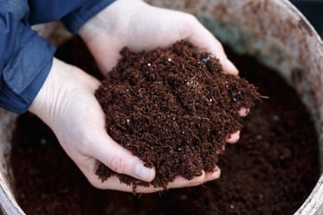 Wo kann man alte Blumenerde entsorgen - Wald, Restmüll oder Biotonne?