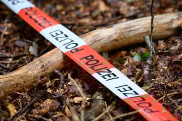 Nach Fund von toter 15-Jähriger in Wald: Sozialarbeiterin in Verdacht