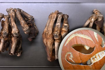Von Geisterorten bis Mumien – Thüringens schaurige Seite