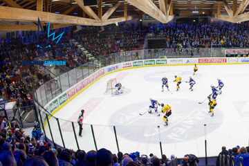 Eislöwen testen gegen Ösi-Erstligisten! Ein Fingerzeig für die neue Saison?