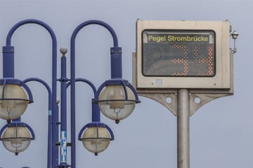 Elbepegel sinkt weiter! Wasserstand fällt auf 39 Zentimeter