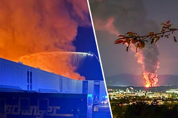 Großbrand in Freiburger Industriegebiet fordert Feuerwehr: 50 Millionen Euro Schaden!