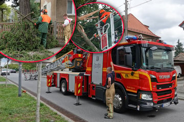 Dresden: Sturmböen in Dresden: Bäume stürzen auf Straßen und Autos
