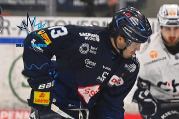 Was diese Statistik über die Eislöwen verrät!