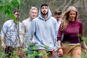 Diesen Werwolf hatte keiner auf dem Schirm! Überraschendes Finale im Düsterwald