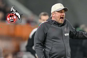 Endspiel für Lukas Kwasniok! Er soll Nachfolger werden