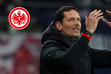 "Alles heraushauen!": Eintracht-Coach Toppmöller mit flammendem Appell vor Partie gegen Mainz