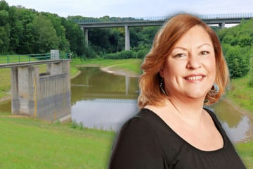 Dresden: Übler Geruch und niedriger Pegel: Das fordert Lokalpolitikerin für Dresdens kaum bekannte Talsperre