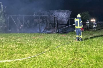 Straußenfarm brennt lichterloh: Polizei macht verdächtige Entdeckung