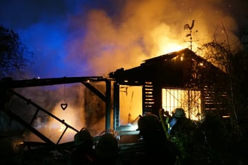 Hamburg: Feuer in Hamburg: Gartenlaube brennt lichterloh