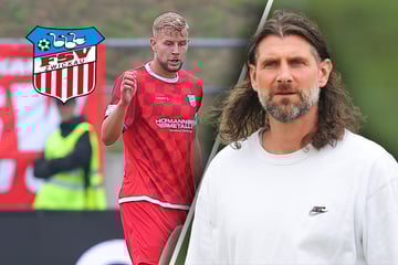 Weil die Erfahrung fehlt: FSV Zwickau will noch mal nachlegen
