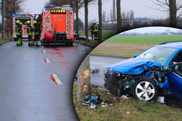 Vollsperrung und Stau! Skoda kracht in Leipzig gegen Baum, Fahrer muss befreit werden