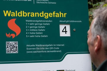 Hohe Waldbrandgefahr in Bayern – Hitzewelle wird heftiger