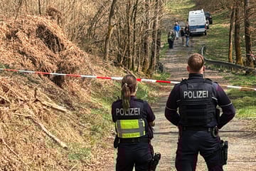 DNA-Gutachten bringt Gewissheit: Gefundener Schädel gehört zu getöteter Frau