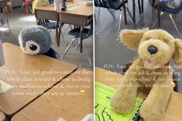 Lehrerin erlaubt Kuscheltiere im Unterricht - was ihre Schüler dann tun, überrascht