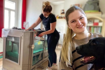 Junge Physiotherapeutin lässt müde Pfoten wieder durchstarten