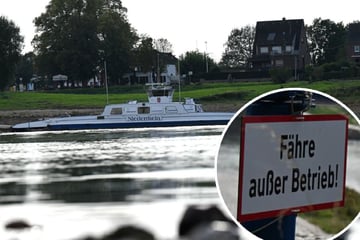 Niedrigwasser hat drastische Folgen: Rheinfähre meldet Kurzarbeit an