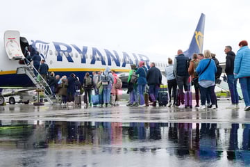 Airline will Gepäck-Sündern an den Kragen und zahlt Mitarbeitern dafür höhere Prämie