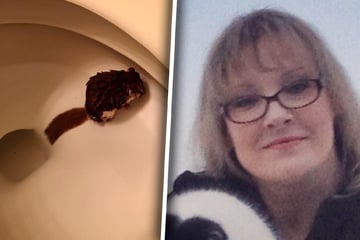 Frau trifft mitten in der Nacht der Schlag, als sie ins Klo sieht