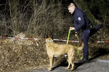 Nach Festnahme im Fall von getötetem 15-Jährigen: Mann aus Haft wieder frei!