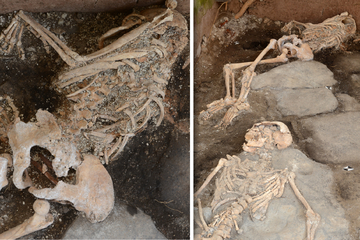 Durch Einsturz begraben! Archäologen finden Skelette in versunkener Römer-Stadt