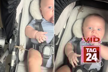 Viral Video of the Day for June 6, 2025: Dad panics as huge lizard crawls on toddler's car seat!
