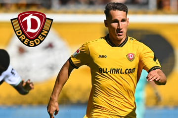 Dynamo-Dresden-Blog: Ex-SGD-Leihspieler Faber wechselt zu Zweitliga-Konkurrent