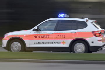 Zwei Männer sterben bei Baum-Crash auf der Bundesstraße