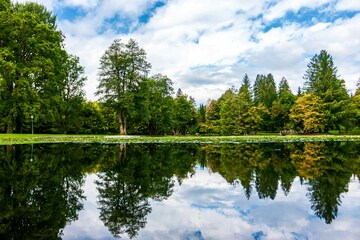 Study says just looking at images of nature can relieve pain – but why?