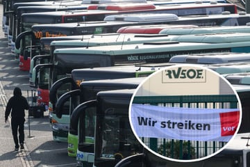 Nächster Warnstreik rollt auf Dresden und Region zu: Diesmal trifft es vor allem Busfahrer