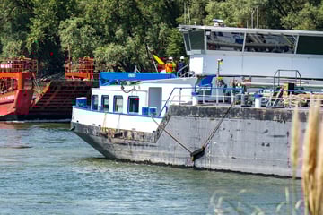 Schiffs-Havarie auf dem Rhein: Industriehafen Mainz-Mombach blockiert