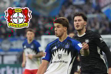 Trotz starker Offensive: Bayer 04 soll diesen Stürmer beobachten