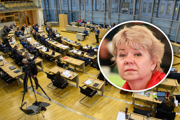 Grüne fordern verkleinerten Landtag in Sachsen-Anhalt! "Mandate einhalten"