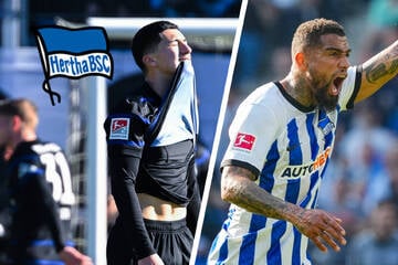 Ein Königreich Für Einen Prince: Hertha BSC Braucht Jetzt Typen Wie Boateng