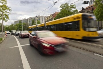Dresden: Entblößte Frau irrt in Dresden umher und bringt Straßenbahn zum Stehen, dann schreitet die Polizei ein
