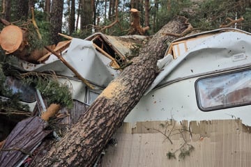 Unwetter verwüstet Sachsen-Anhalt: Feuerwehr im Dauereinsatz