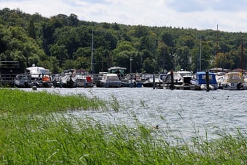 Nach Tragödie am Tollensesee: Tote Frau identifiziert